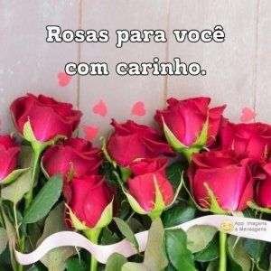 Rosas para você