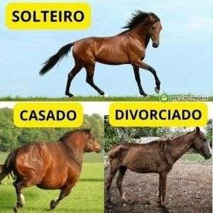 Solteiro, casado e divorciado